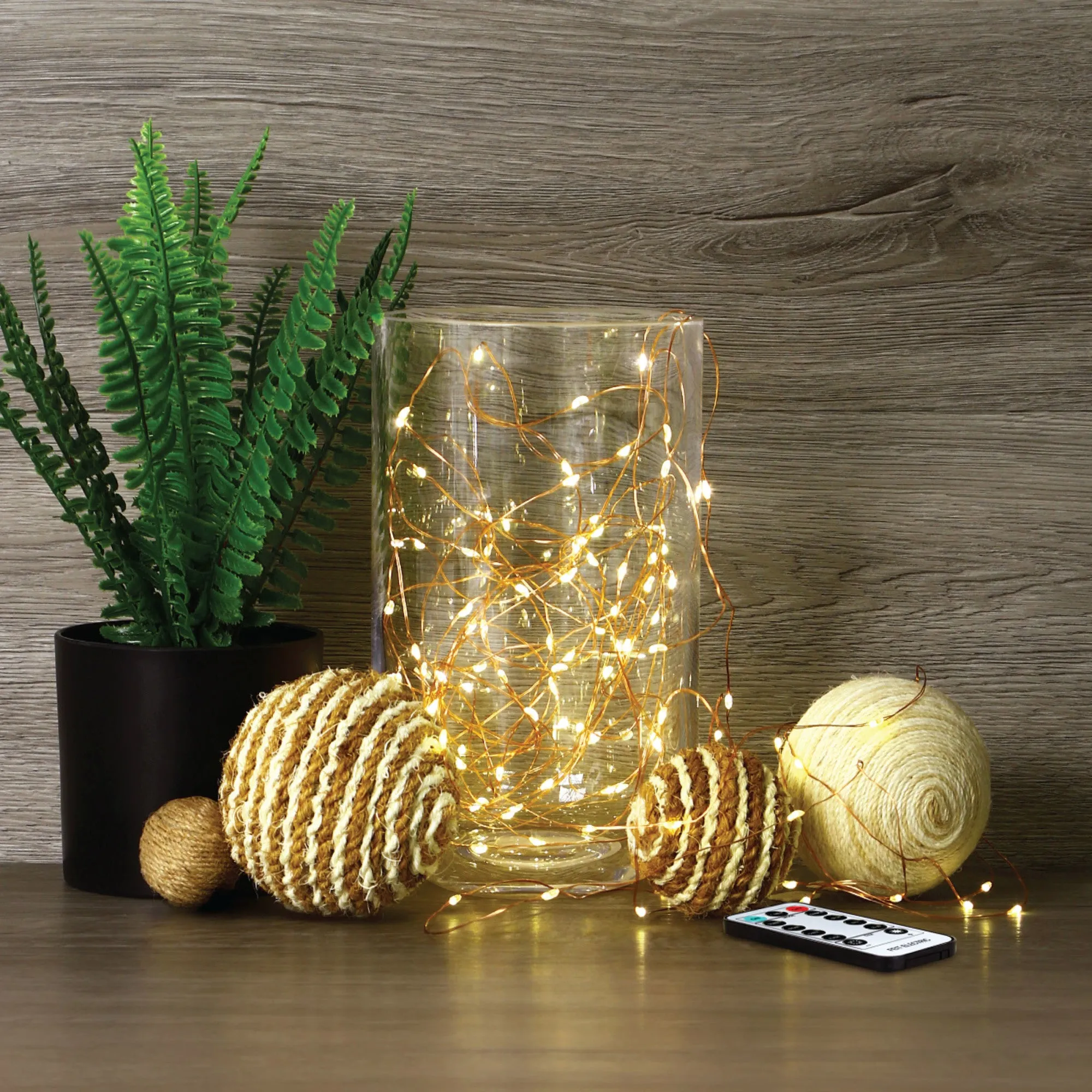 30 ft. Warm White Copper Wire Fairy String Lights