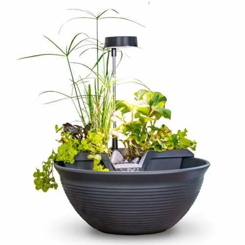 AquaGarden Tabletop Fountain Kit