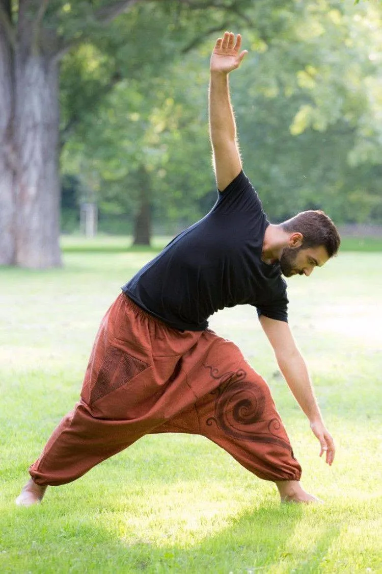 Brick Red Tribal Pants